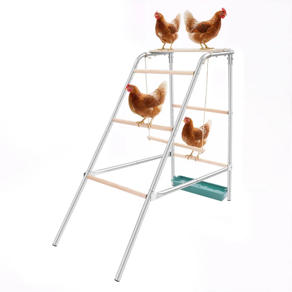 Échelle poulets acier galvanisé et perchoirs bois eucalyptus