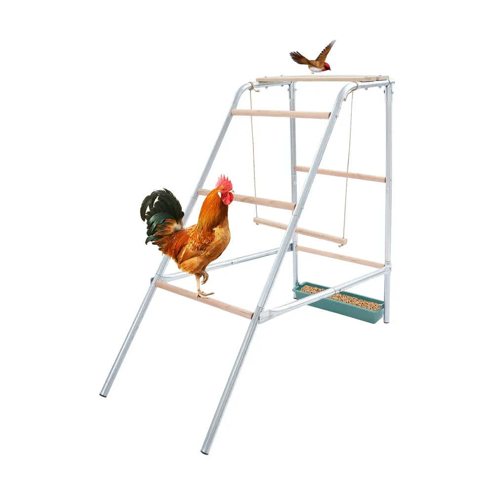 Échelle poulets acier galvanisé et perchoirs bois eucalyptus