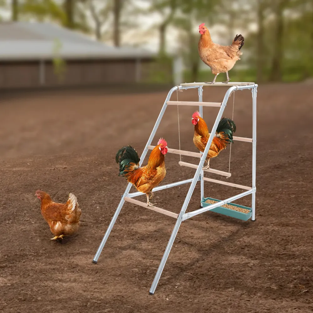 Échelle poulets acier galvanisé et perchoirs bois eucalyptus