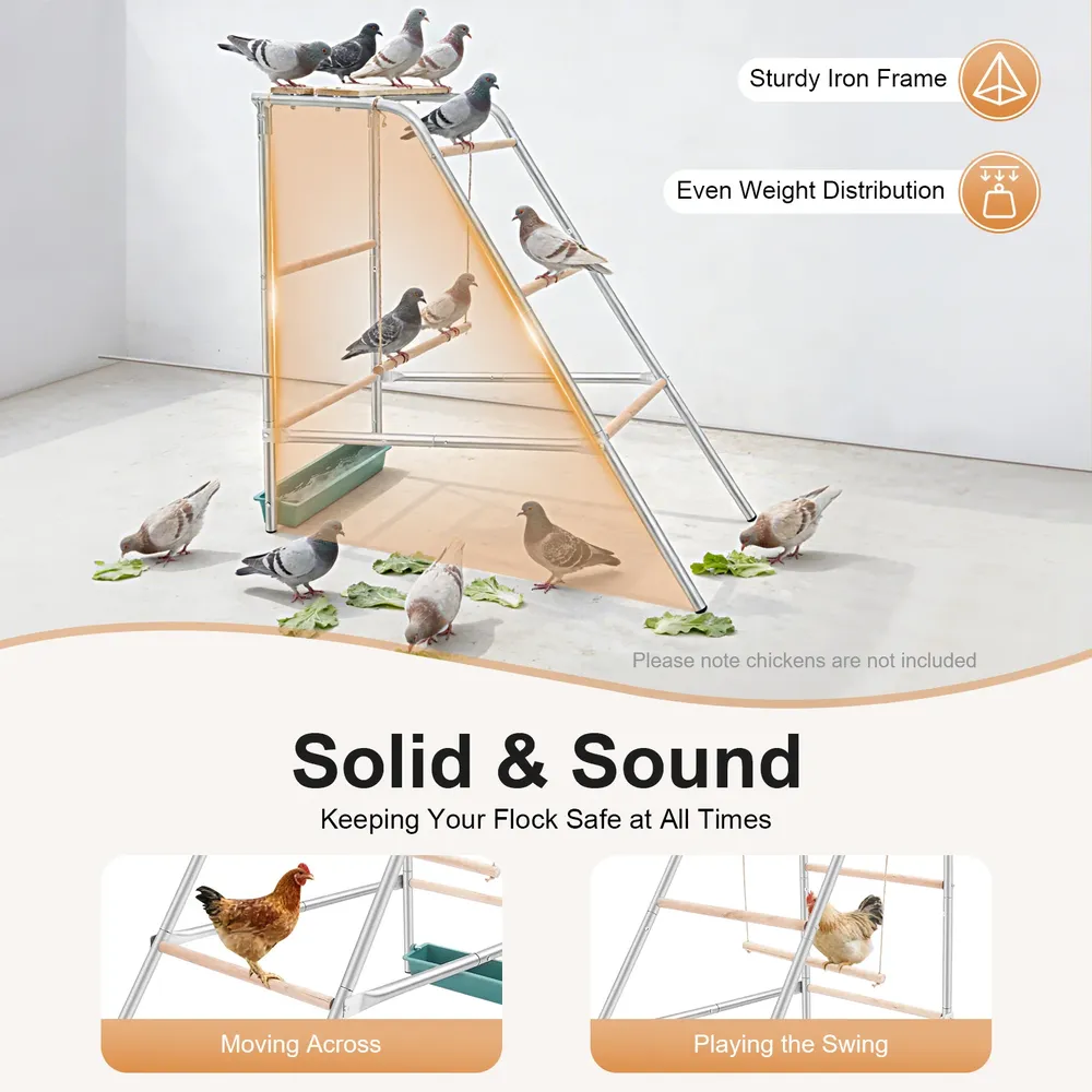 Échelle poulets acier galvanisé et perchoirs bois eucalyptus