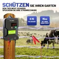 Électrificateur 15 km, 12 kV, pour bétail et animaux – 1