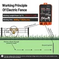 Électrificateur 20 km, 5,5 J, écran LCD, contrôleur bétail 12 V – 6
