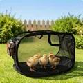 Enclos portable pliable pour poulets et petits animaux – Color B42306Black