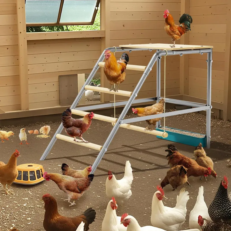 Enclos poules avec échelle mangeoire et balançoire 100 x 48 x 70 cm