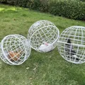 Enclos sphérique plastique pour poulets et lapins – 1