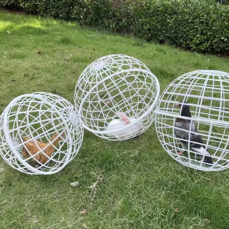 Enclos sphérique plastique pour poulets et lapins