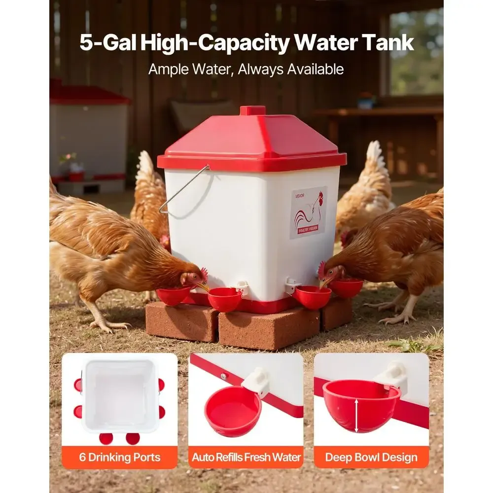 Ensemble abreuvoir et mangeoire automatique 5 gallons volailles
