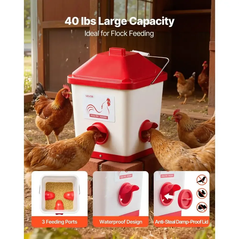 Ensemble abreuvoir et mangeoire automatique 5 gallons volailles