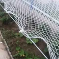 Filet anti-grêle et anti-oiseaux pour vergers et bassins – 6