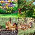 Filet anti-oiseaux en nylon pour jardin et volailles – 5