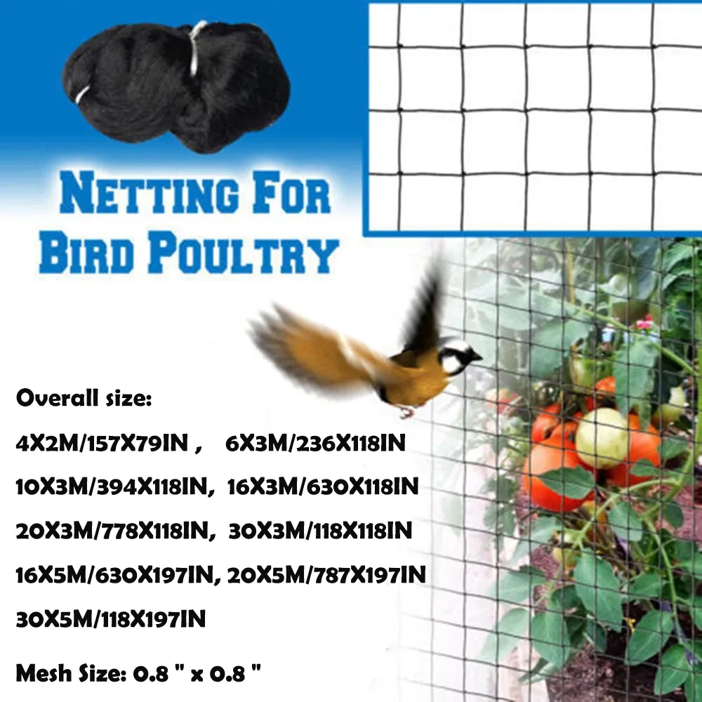 Filet anti-oiseaux et anti-ravageurs pour jardin et cultures