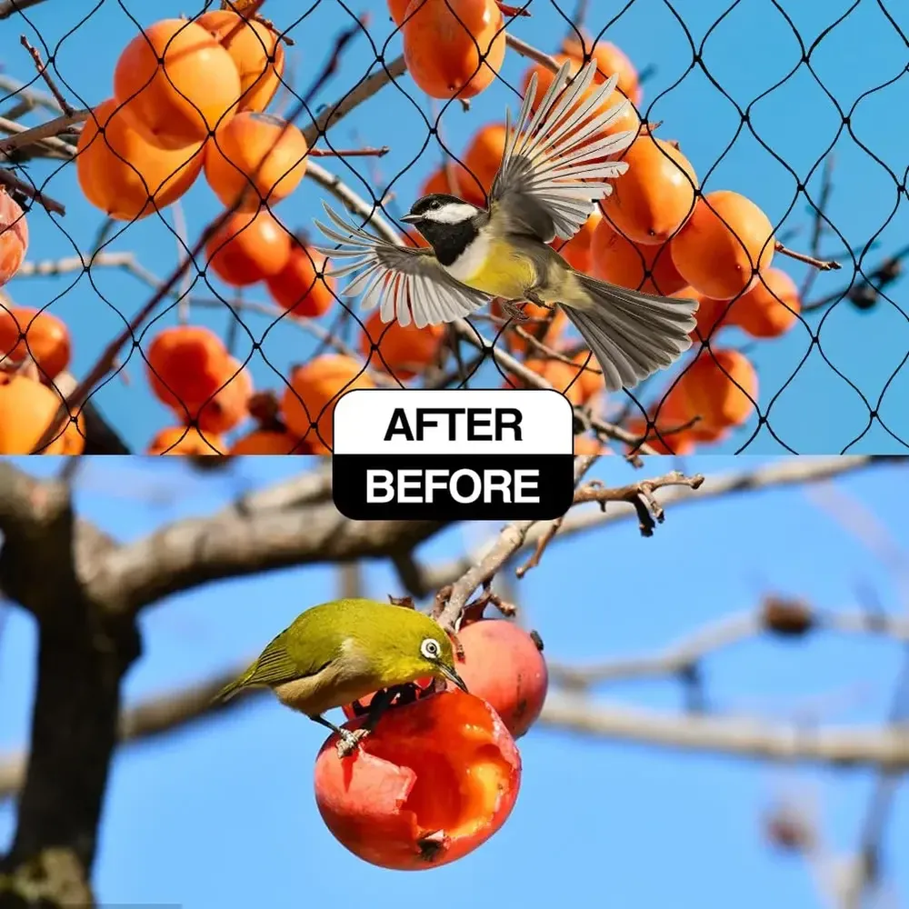 Filet anti-oiseaux extra large pour poulailler et jardin