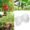 Filet anti-oiseaux pour jardin, verger et potager – 6