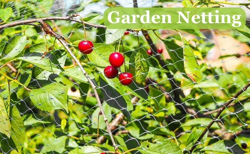 Filet anti-oiseaux pour jardin, verger et potager