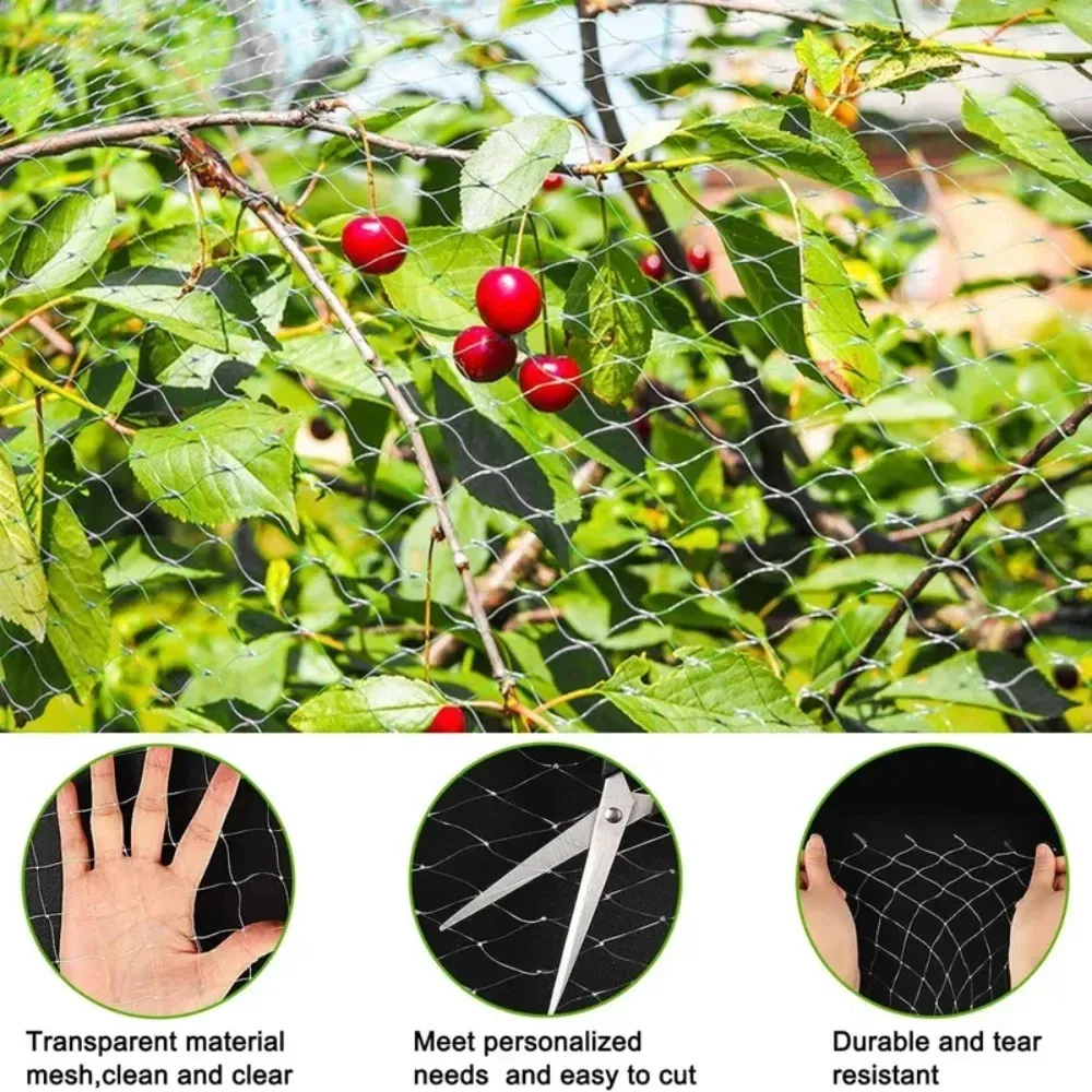 Filet anti-oiseaux pour jardin, verger et potager