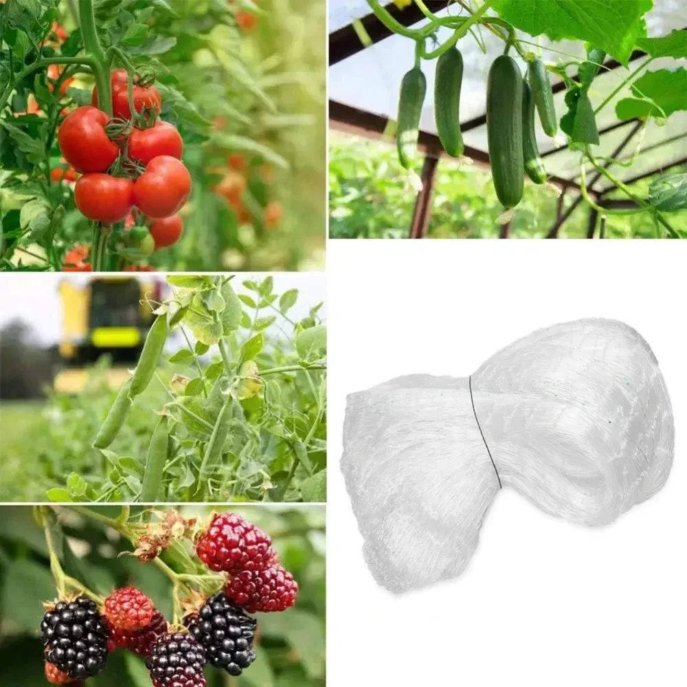 Filet anti-oiseaux pour jardin, verger et potager