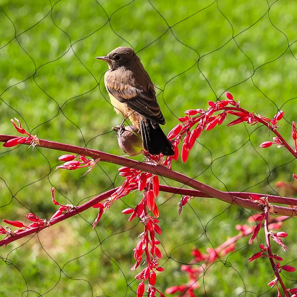 Filet anti-oiseaux pour verger, potager et poulailler