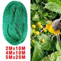 Filet de protection anti-oiseaux pour plantes et arbres fruitiers – 1