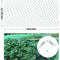 Filet de protection anti-oiseaux pour plantes et arbres fruitiers – 2