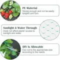 Filet de protection anti-oiseaux pour plantes et arbres fruitiers – 3