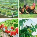 Filet de protection anti-oiseaux pour plantes et arbres fruitiers – 6