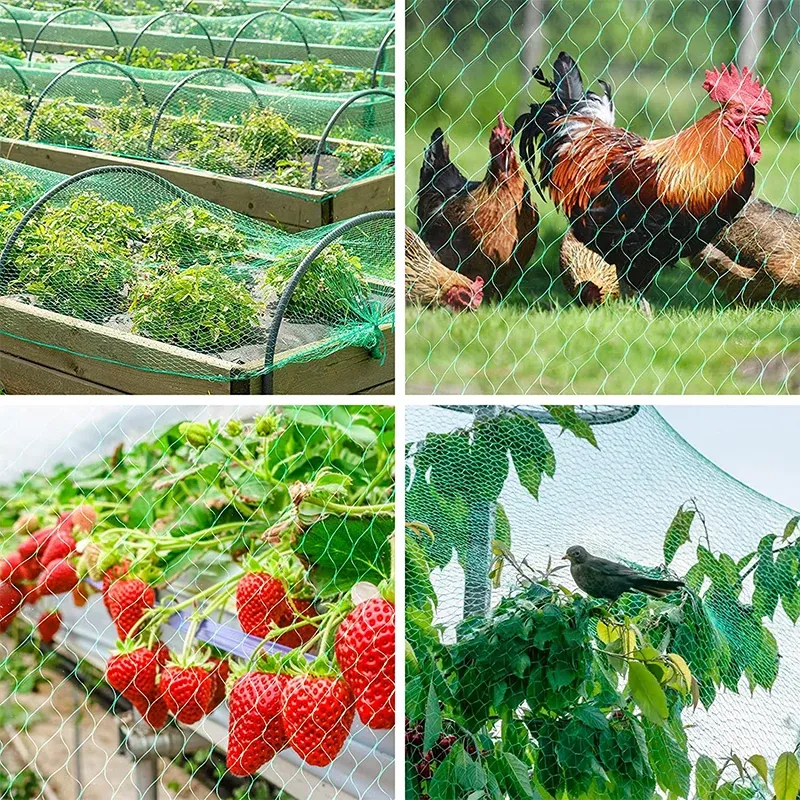 Filet de protection anti-oiseaux pour plantes et arbres fruitiers