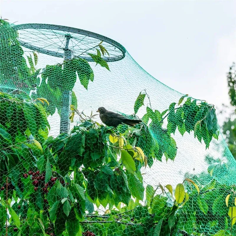 Filet de protection anti-oiseaux pour plantes et arbres fruitiers