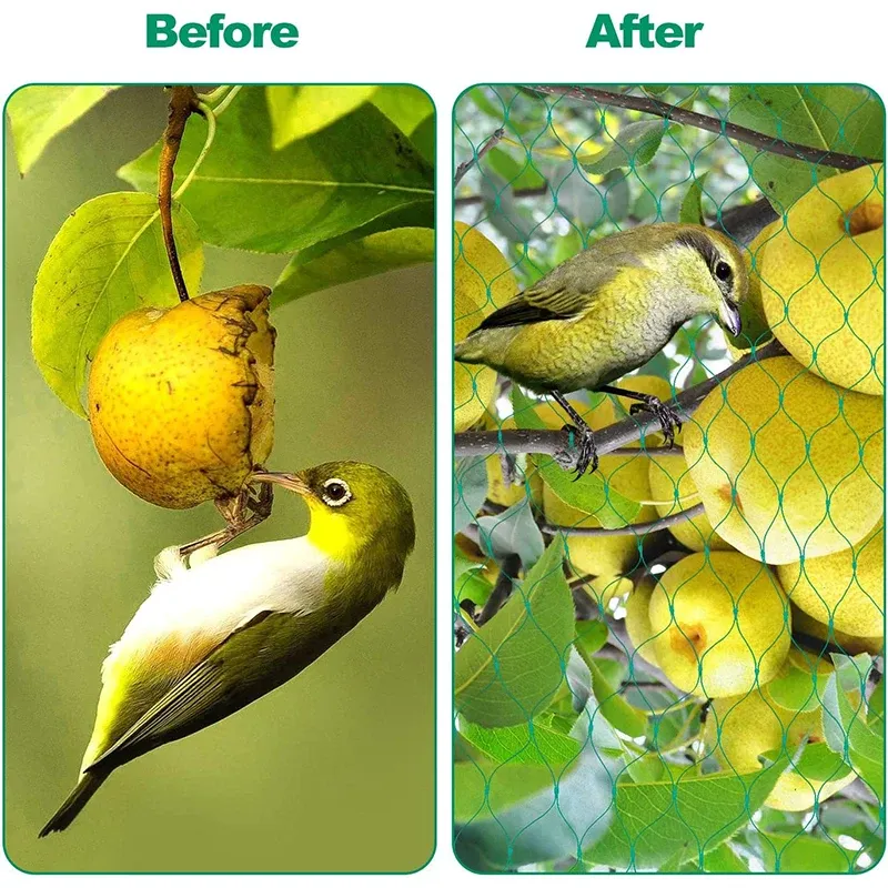Filet de protection anti-oiseaux pour plantes et arbres fruitiers