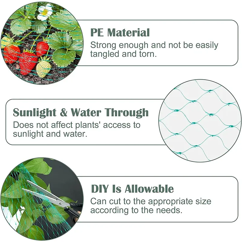 Filet de protection anti-oiseaux pour plantes et arbres fruitiers