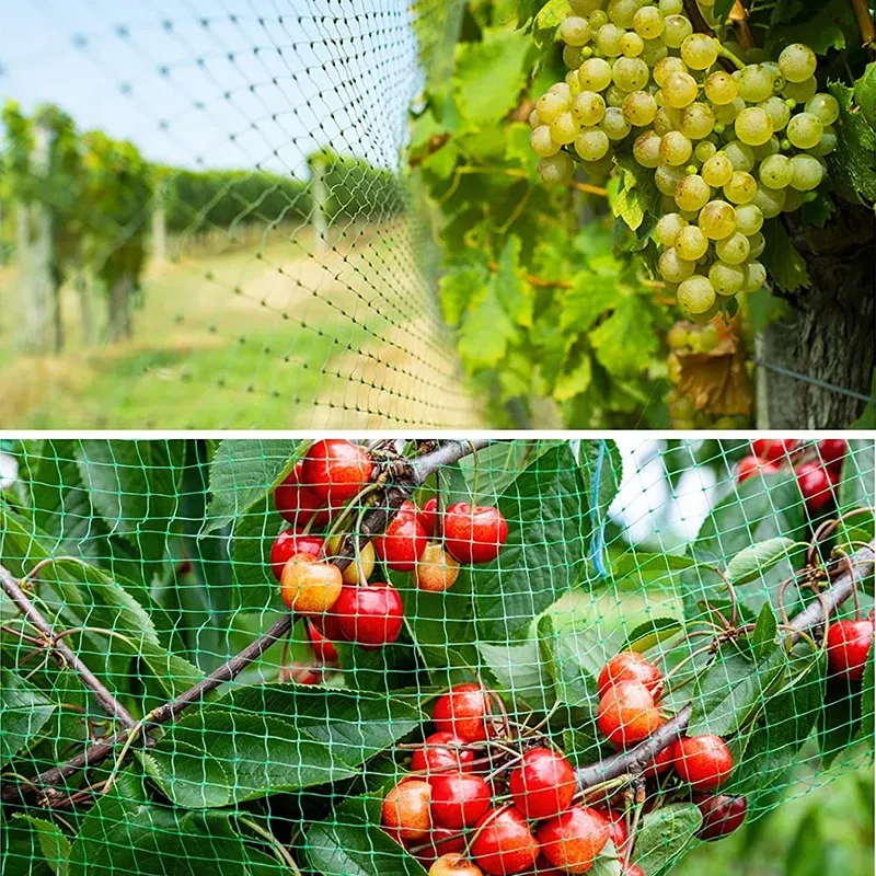Filet de protection anti-oiseaux pour plantes et arbres fruitiers