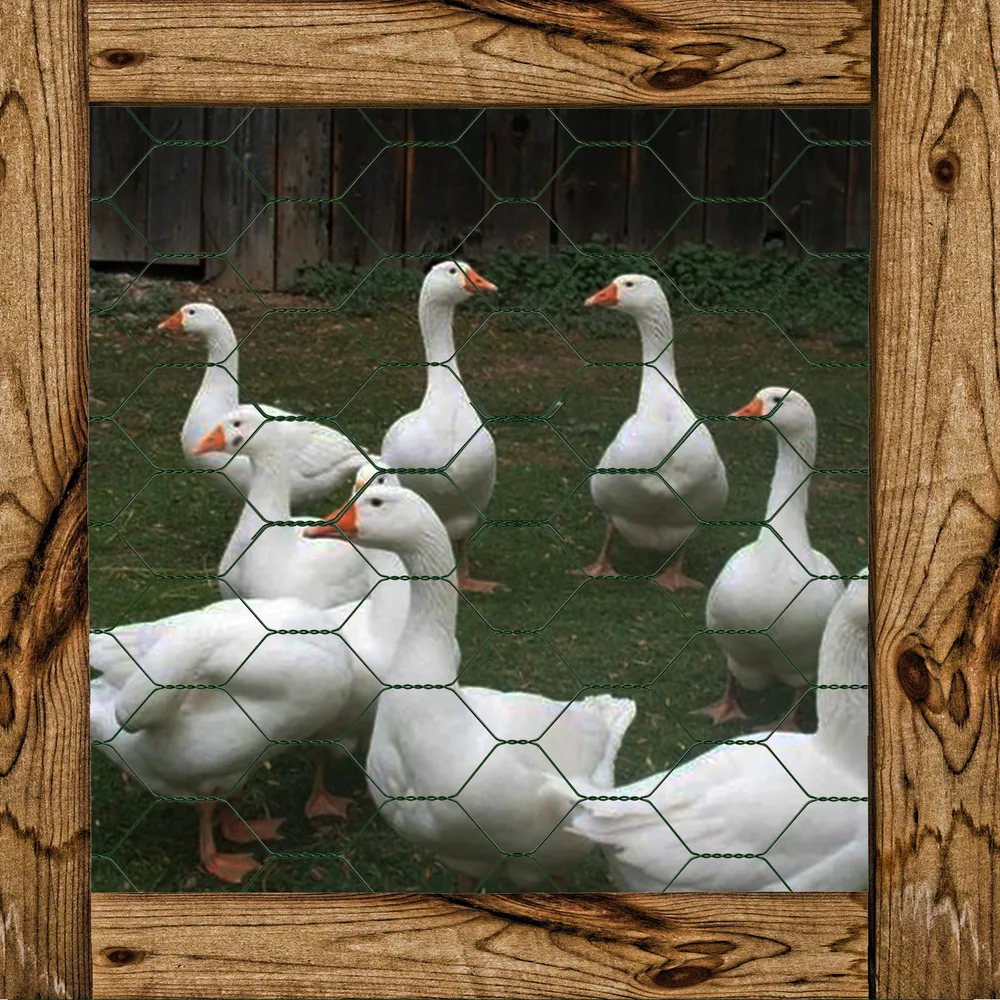 Filet de protection en plastique pour volailles et balcon