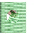 Filet de protection en plastique pour volailles et balcon – Couleur Green 0.8CM hole
