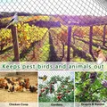 Filet de protection jardin cerf et volaille – 6