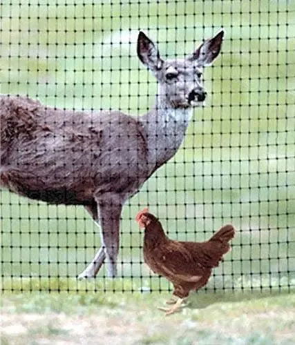 Filet de protection jardin cerf et volaille