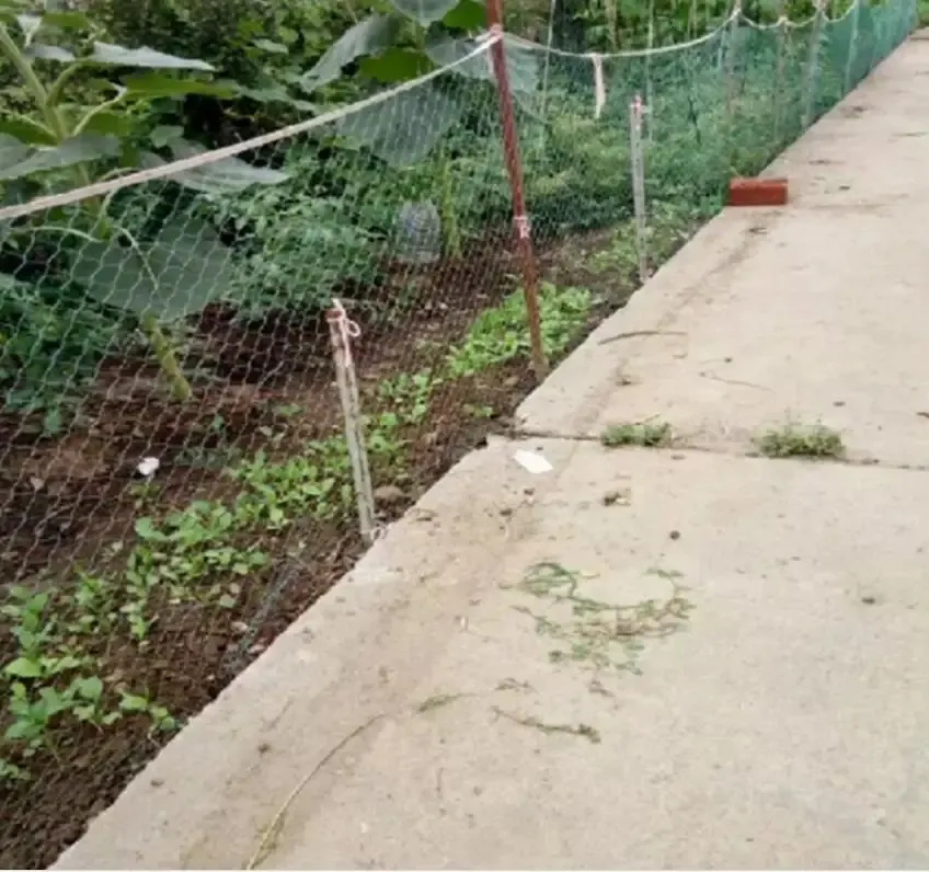 Filet de protection jardin cerf et volaille