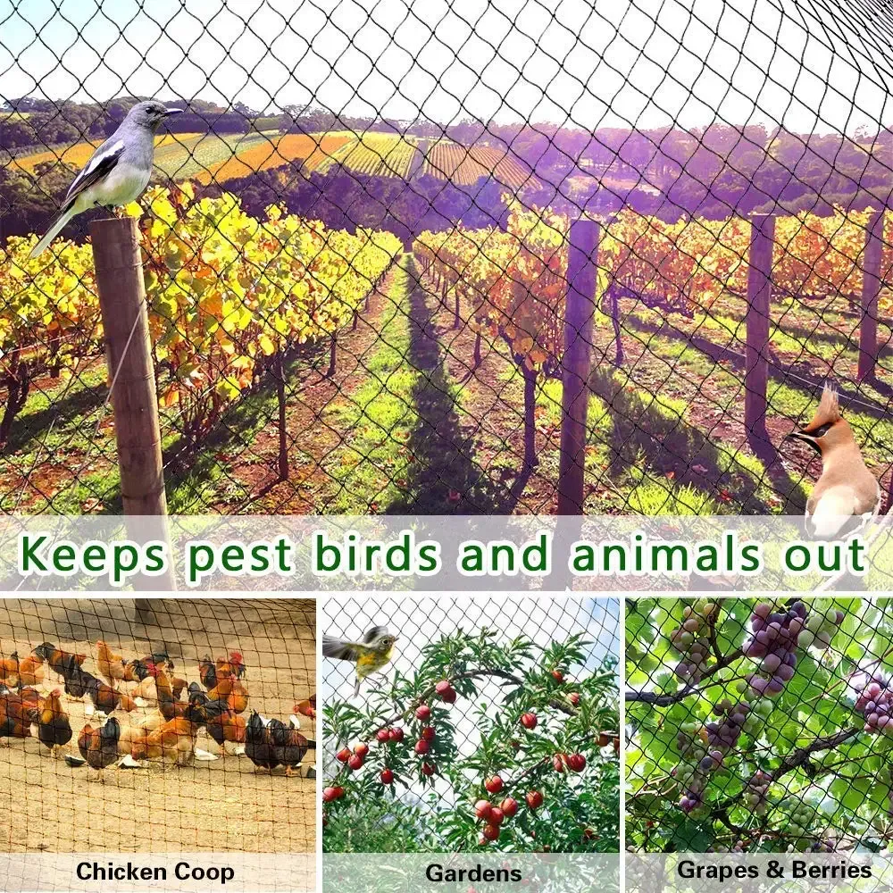 Filet de protection jardin cerf et volaille