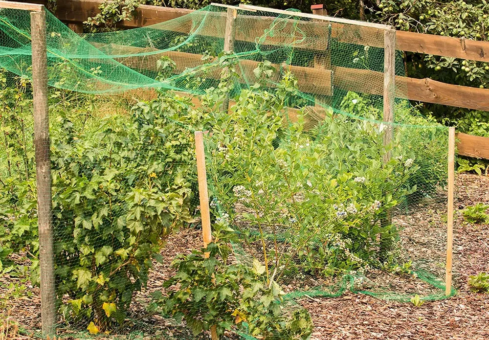 Filet de protection jardin cerf et volaille