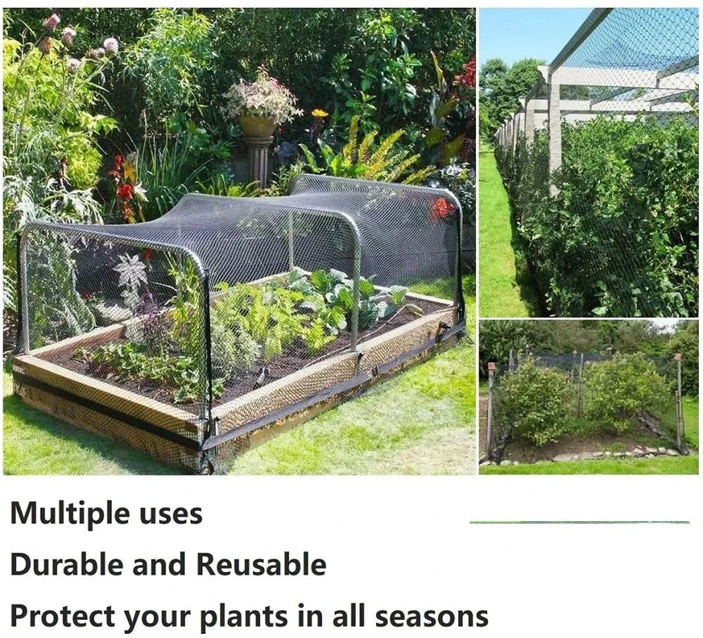 Filet de protection jardin et volaille 1,5 à 3 cm