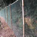 Filet de protection jardin et volaille 1 à 5 m – 3