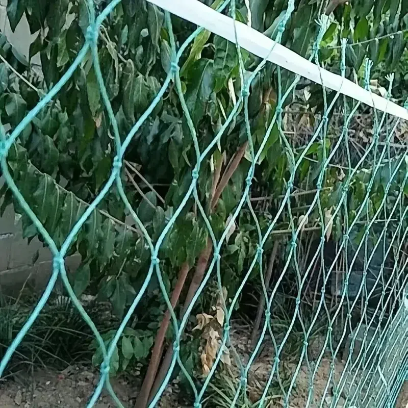Filet de protection jardin et volaille 1 à 5 m