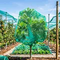 Filet de protection pour arbres fruitiers et légumes – 6