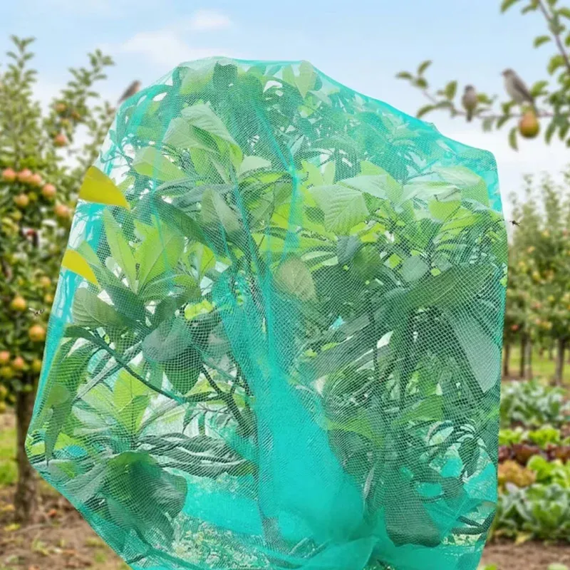 Filet de protection pour arbres fruitiers et légumes