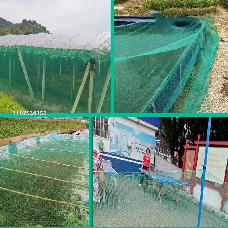 Filet de protection pour arbres fruitiers et légumes