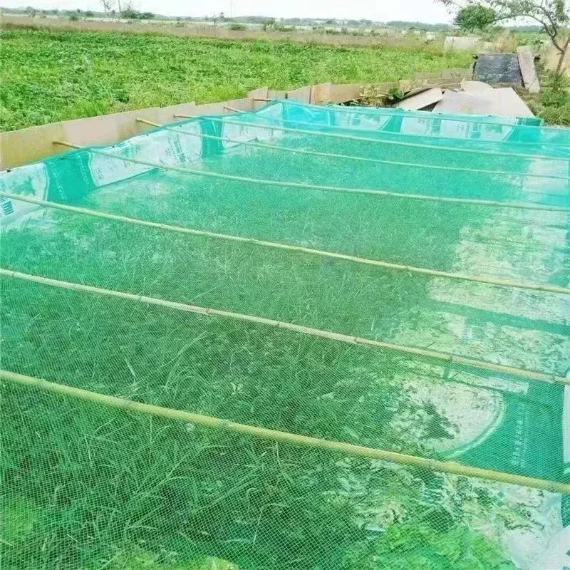 Filet de protection pour arbres fruitiers et légumes