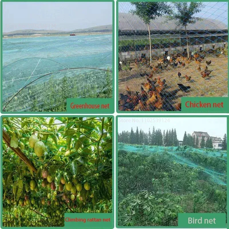 Filet de protection pour arbres fruitiers et légumes