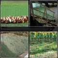 Filet de sécurité en plastique pour jardin et volailles – 7