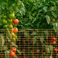 Filet de sécurité en polypropylène pour jardin et animaux – 3