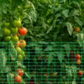 Filet de sécurité en polypropylène pour jardin et animaux – 6