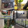 Filet hexagonal en plastique noir pour jardin et poulailler – 4