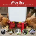 Fontaine à eau automatique 11L pour poulets et oies – 3